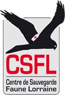 CSFL – Structuration stratégique et financière pour un centre de soin animalier en Lorraine